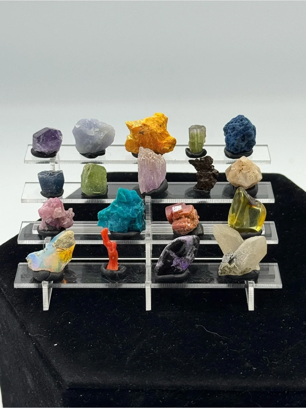 Mini Display with 18 specimens